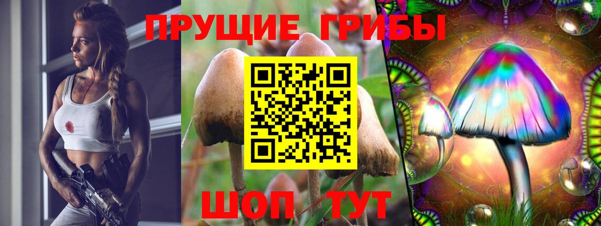 Верхняя Салда  Галлюциногенные грибы мухоморы  Вход с VPN 